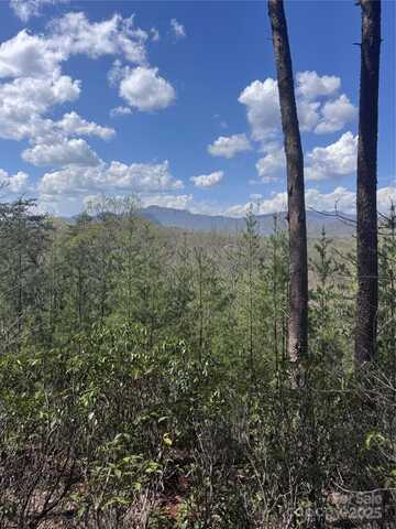 0 High Pines Loop, Lake Lure, NC 28746