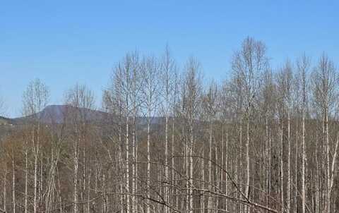 Tbd Red Roof Lane, Laurel Fork, VA 24352