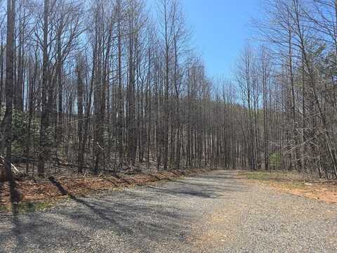 Tbd Red Roof Lane, Laurel Fork, VA 24352