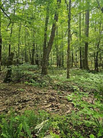 Tbd Crawfish, Rural Retreat, VA 24368