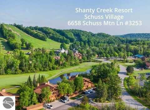 6658 Schuss Mountain Lane, Mancelona, MI 49659