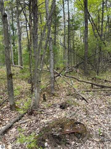 Muncie View Trail, Traverse City, MI 49696