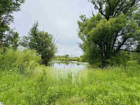 E 12 3/4 Road, Manton, MI 49663