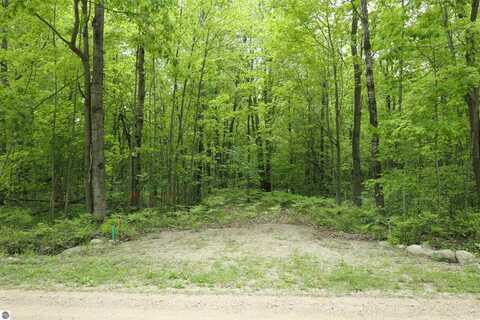 TBD S Lakeside Trail, Shepherd, MI 48883