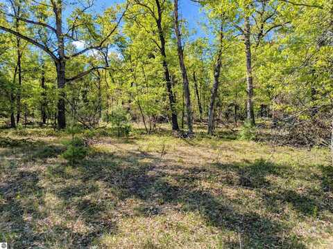 Cranberry Drive, Alger, MI 48610
