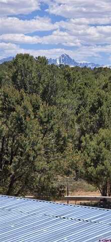 6101 County Road 1, Montrose, CO 81403