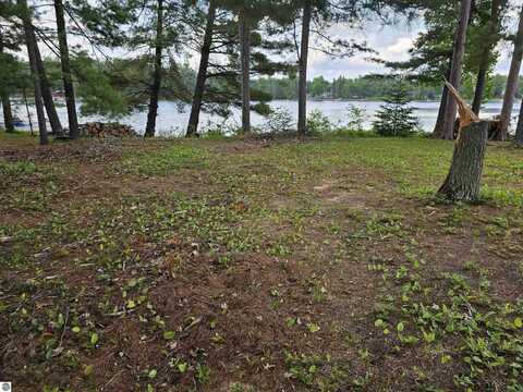 lot 12 Paradise Drive, South Branch, MI 48761