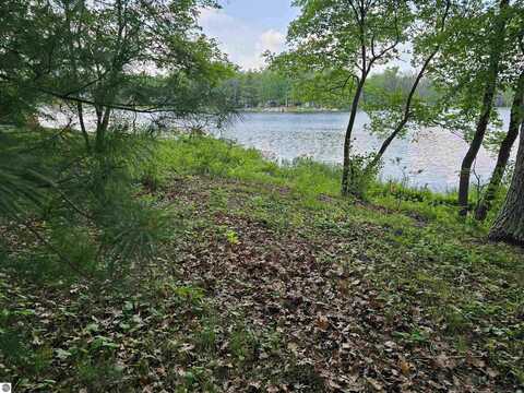 Lot 16 Paradise Drive, South Branch, MI 48761