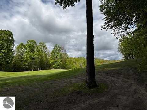 Unit 24 Forest Trail, Bellaire, MI 49615
