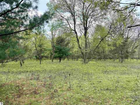 Parcel D Rosted Road, Lake City, MI 49651