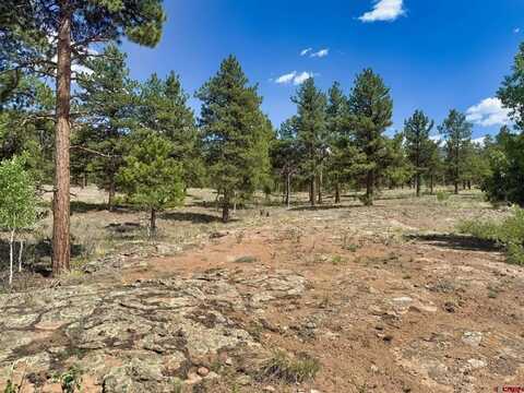 22 Church Creek Circle, South Fork, CO 81154