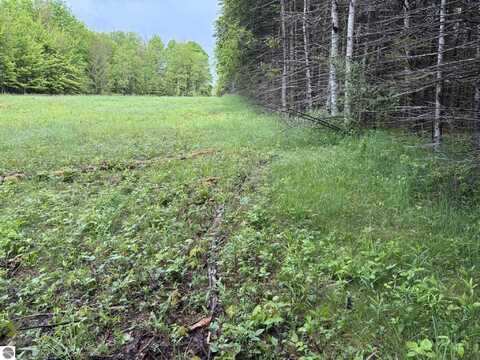 8240 N 8 Mile Road, Lake City, MI 49651