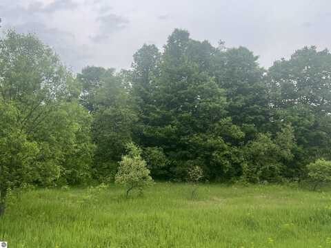 00 Wood Road, NE, Kalkaska, MI 49646