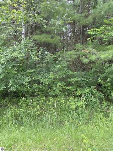 V/L Radov Road, Gladwin, MI 48624