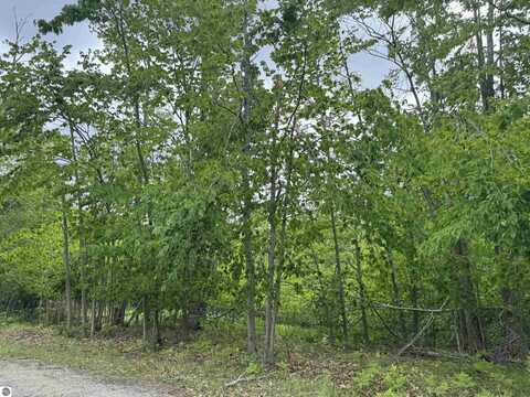 7241 Snow Goose Circle, Gaylord, MI 49735