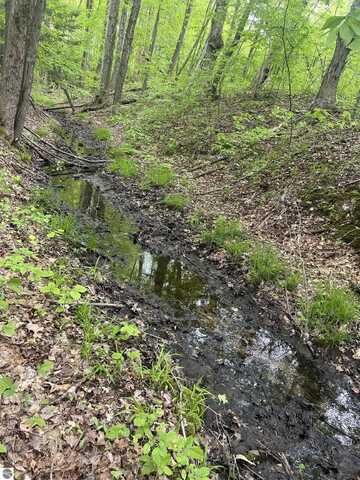 V/L N Hawkins Road, Luther, MI 49656