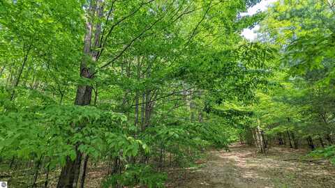 00 Stark Road, Mancelona, MI 49659