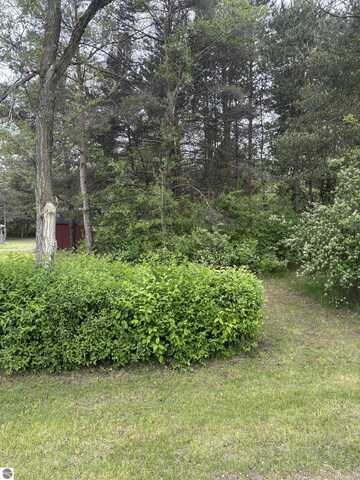 TBD Carter Street, Mount Pleasant, MI 48858