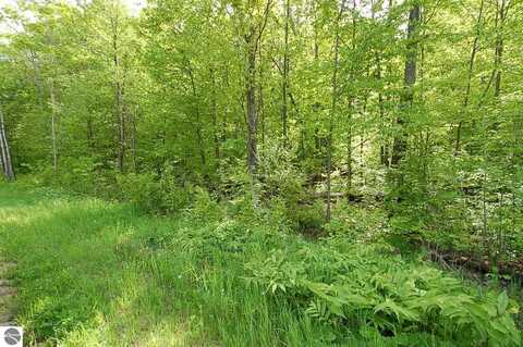 3882 S 5 1/2 Road, Harrietta, MI 49638