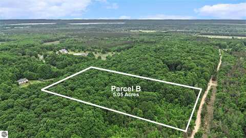 V/L Parcel B Lamerson Lane, Interlochen, MI 49643