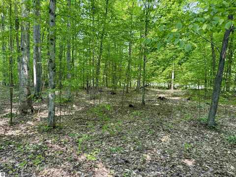 000 Honeybee Road, Empire, MI 49630