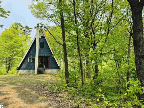11711 E 22 3/4 Road, Manton, MI 49663