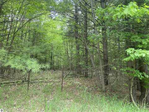 S Poor Farm Road, Harrisville, MI 48740