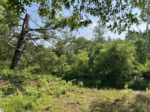 NKA Pinnacle Drive, Omer, MI 48749