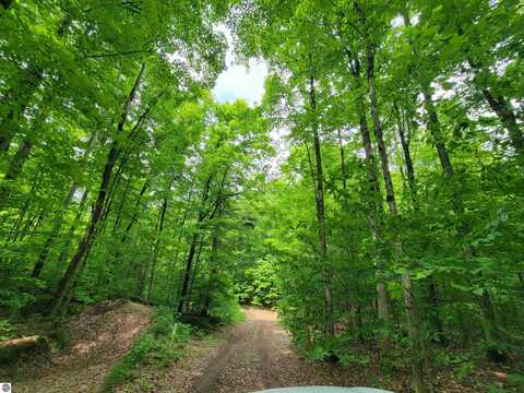 Parcel 4 Stark Road, Mancelona, MI 49659