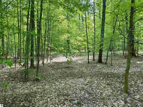 00 Honeybee Road, Empire, MI 49621