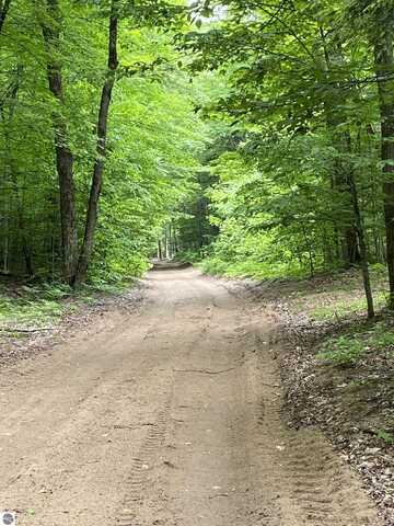 Parcel 3 Stark Road, Mancelona, MI 49676