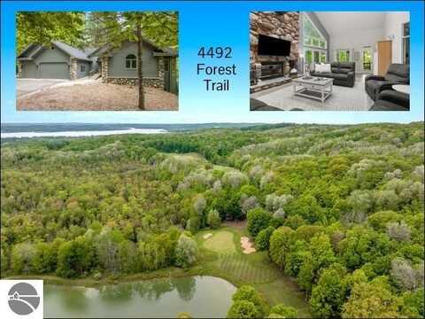 4492 Forest Trail, Bellaire, MI 49615