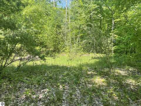 5403 E Circle Drive, Rose City, MI 48654