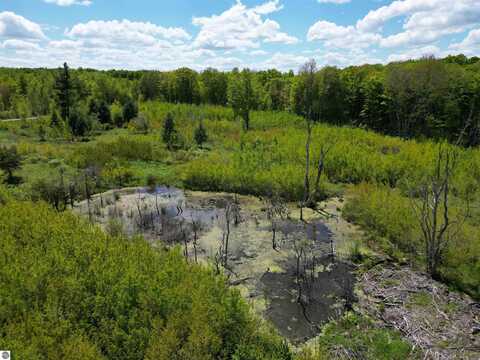 TBD 19 Mile Road, Marion, MI 49688