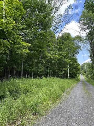 L-11 C Buel Road, Conesville, NY 12076