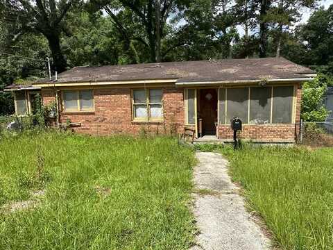 653 NW Liberia Street, Pelham, GA 31779
