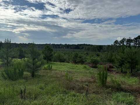 275 Lewis Ln, Cairo, GA 39828