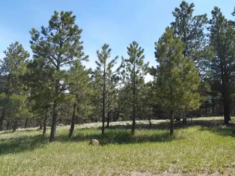 Lot 7, Angel Fire, NM 87710