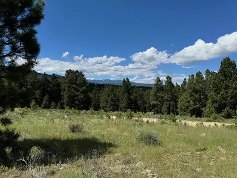 Lot 459 Torrey Pines, Angel Fire, NM 87710