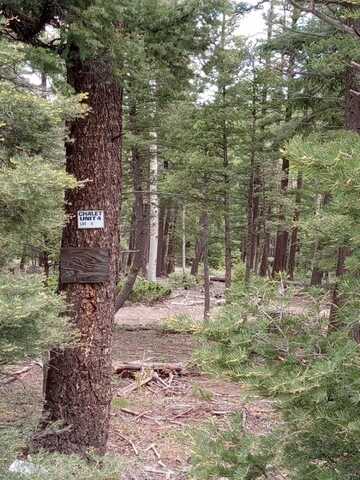 Lot 8 Back Basin, Angel Fire, NM 87710