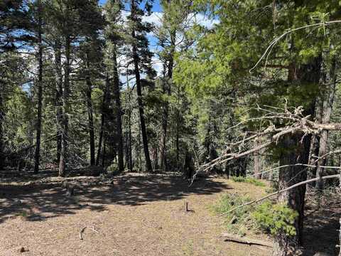 Lot 1662 El Vado Way, Angel Fire, NM 87710