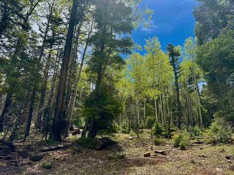 Lot 455 El Camino Real, Angel Fire, NM 87710