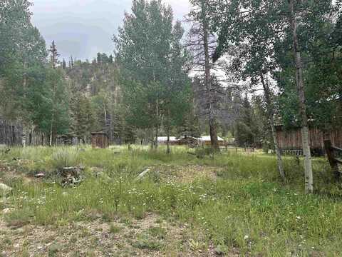328 Bitter Creek Rd, Red River, NM 87558