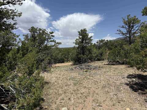 Bret Hale Road, Valdez, NM 87580