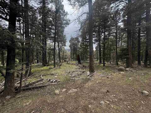 1222 Rainbow Overlook, Angel Fire, NM 87710