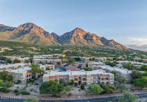 1500 E Pusch Wilderness Drive, Oro Valley, AZ 85737