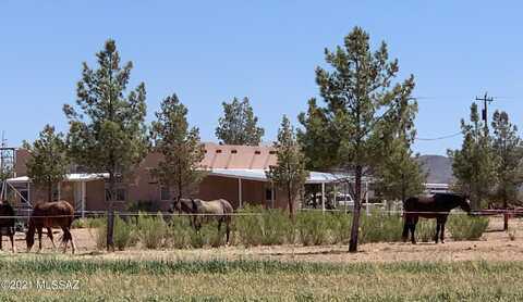 3515 W Gleeson Road, Elfrida, AZ 85610