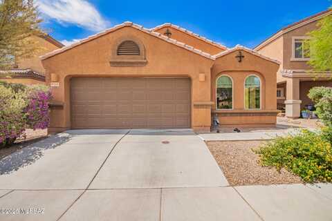 8751 N Black Pine Drive, Tucson, AZ 85743