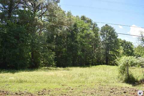 0 FINCHER STREET, Maud, TX 75567