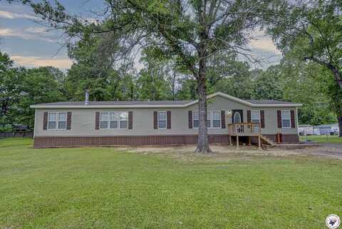 807 E 11th St, Hooks, TX 75561